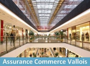 <a href='#' class='small-button smallblue'>Contact Devis Assurance Vallois</a>