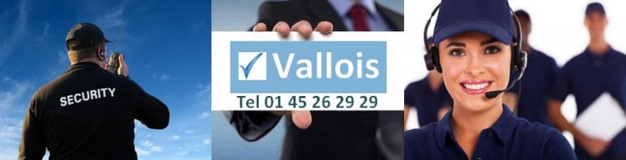 Assurance Rc Pro Sécurite Gardiennage