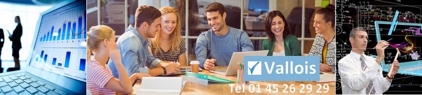 rc pro consultant