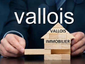 Quel est le rôle du syndic de copropriété ?